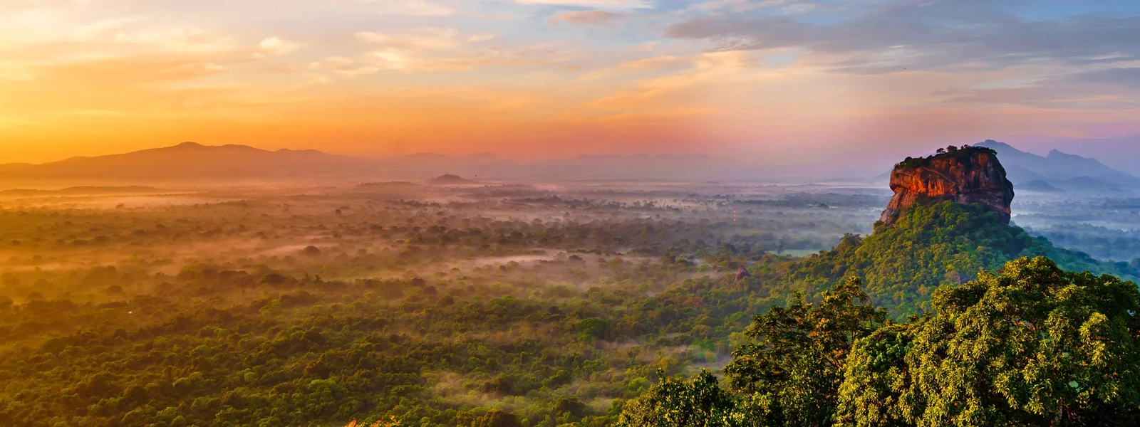 Sunrise over misty forest with Sigiriya rock rising on the right