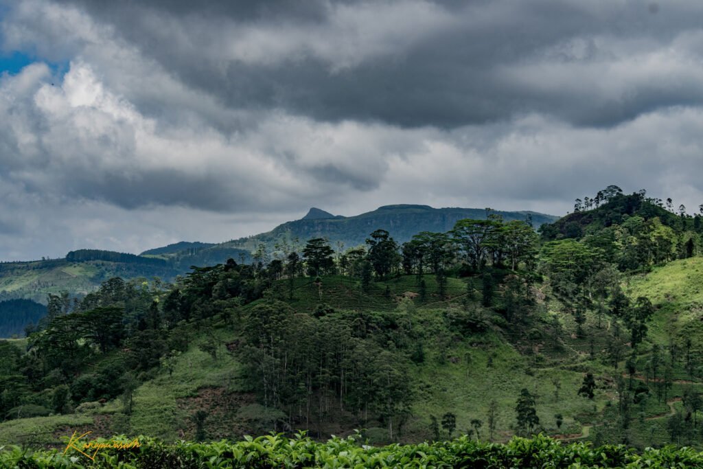 Knuckles Mountain Range