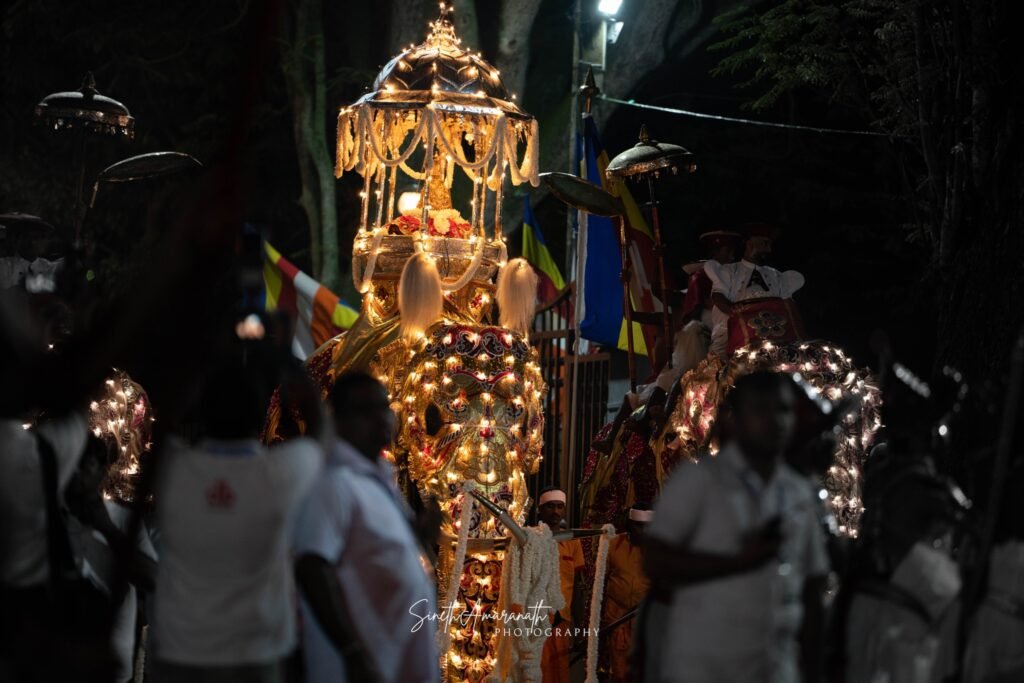 Nighttime scene of the Grand Randoli Perahera with illuminated elephants