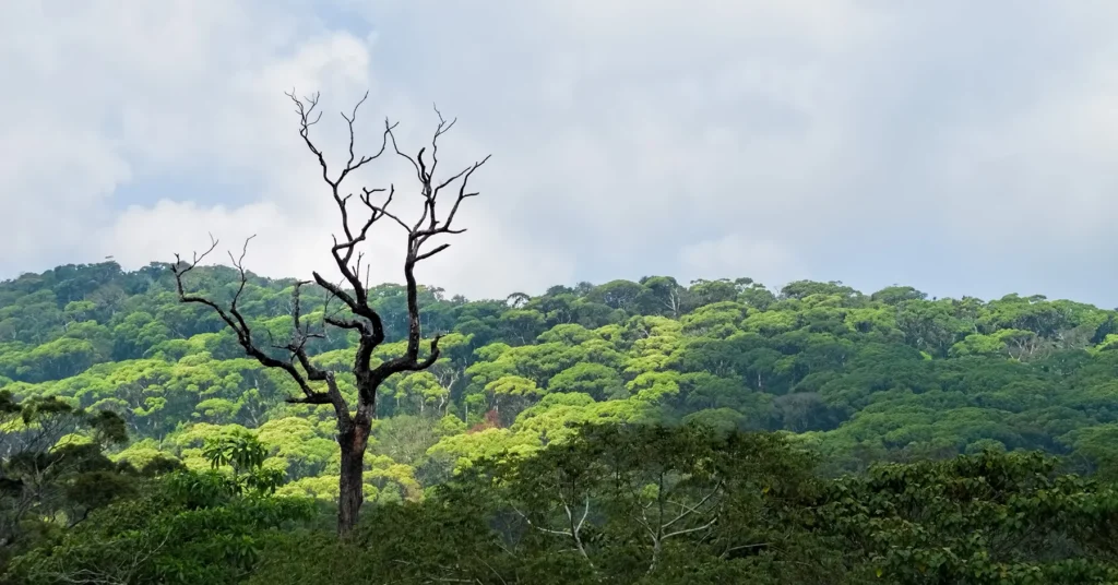 Beauty Sir Lankan Tour Hidden Sri Lanka