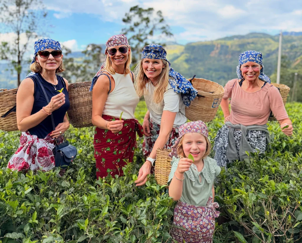 sri lanka tea plantation