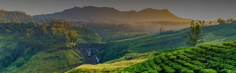 This 10-day private tour focuses on Sri Lanka