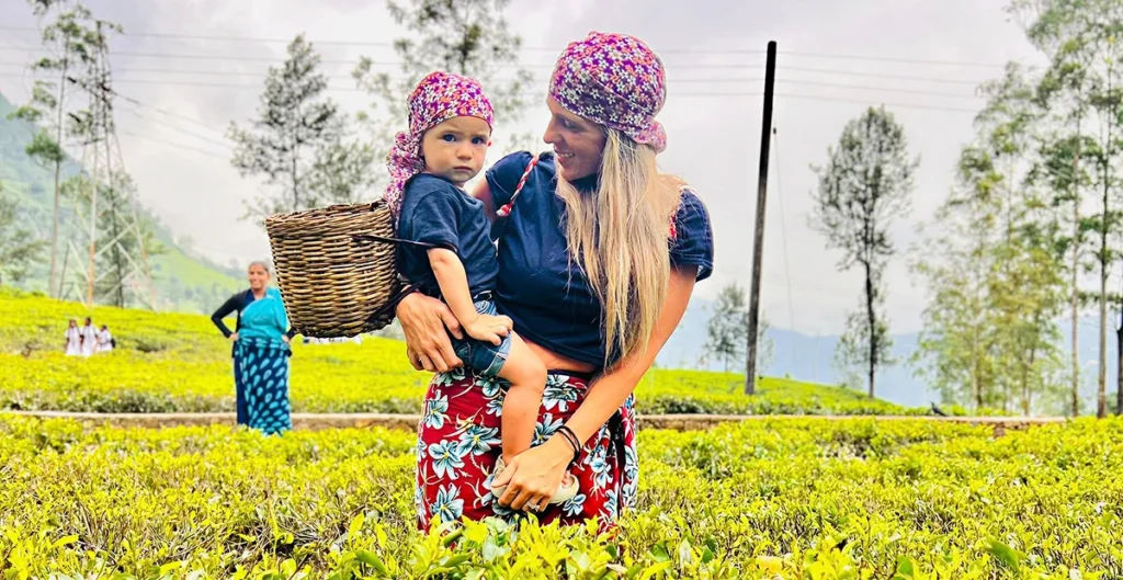 Nuwaraeliya Day Tour Hidden Sri Lanka